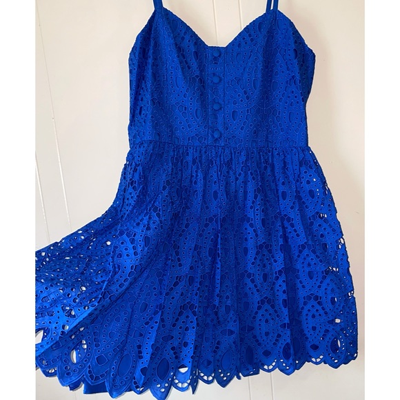 Alice + Olivia Nella Embroidered Blue Eyelet Flared Mini Dress - Picture 12 of 15